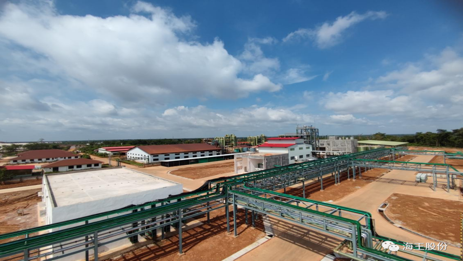 伟德体育 - 综合体育赛事平台|奥体中心相助同伴